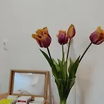 Borisz