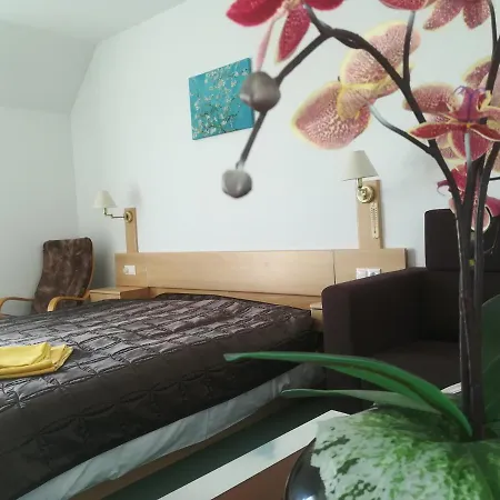 Apartahotel Borisz 4*