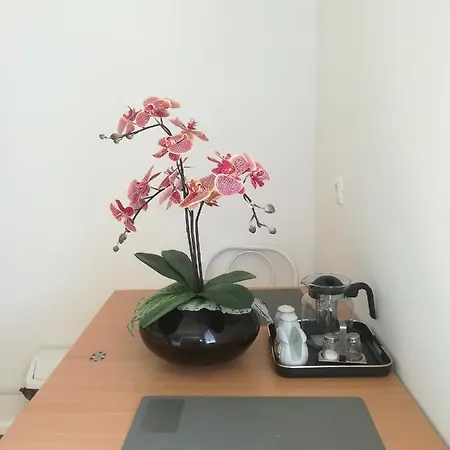 Borisz Apartahotel Zalakaros