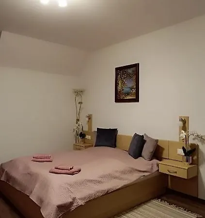 Borisz מלון דירות