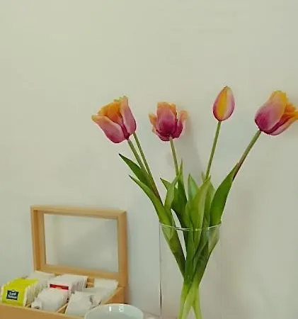 Apartahotel Borisz 4*