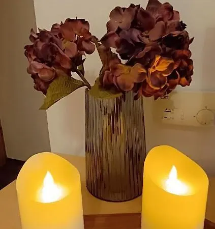 Borisz 4* Залакарош