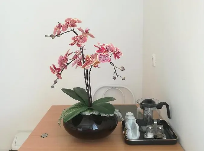 Borisz Apartahotel Zalakaros