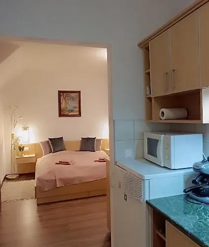 Borisz Lejlighedshotel