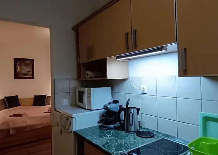 Borisz Apart Otel 4*