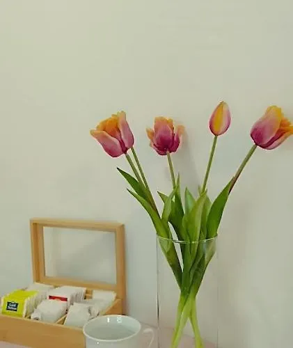 Apart Otel Borisz 4*