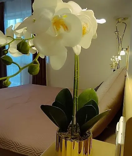 Borisz Lejlighedshotel Zalakaros